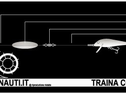 Terminali da pesca